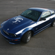 Illustration for article titled 2010 Shelby Mustang GT/SR